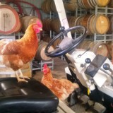 Learner Driver