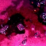 Fermenting Shiraz